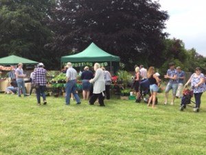 The village fete