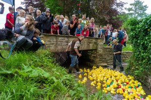 The duck race